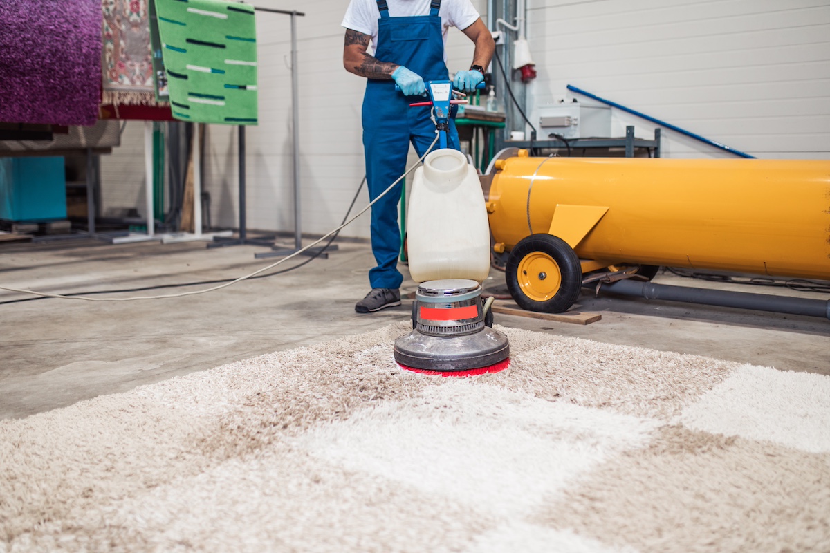 The Importance of Professional Rug Cleaning for Your Area Rugs hero image